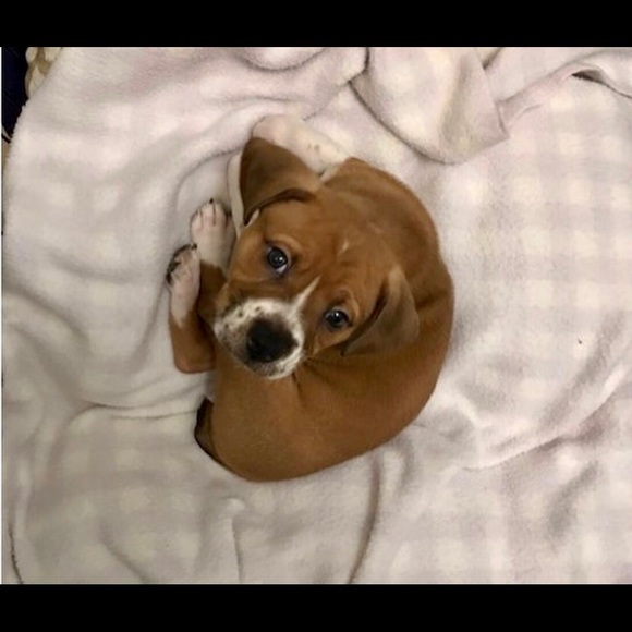 Lori & Roadie say hi! - Picture 5 of 15